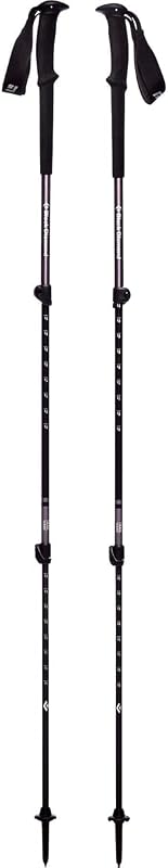 Best trekking poles for children and teenagers: adjustable y